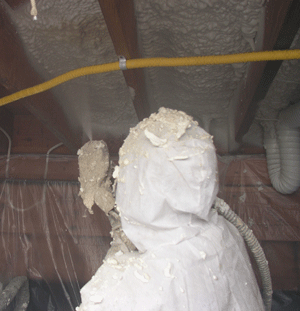 Riverside CA crawl space insulation